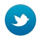 2013-02-19 twitter icoon